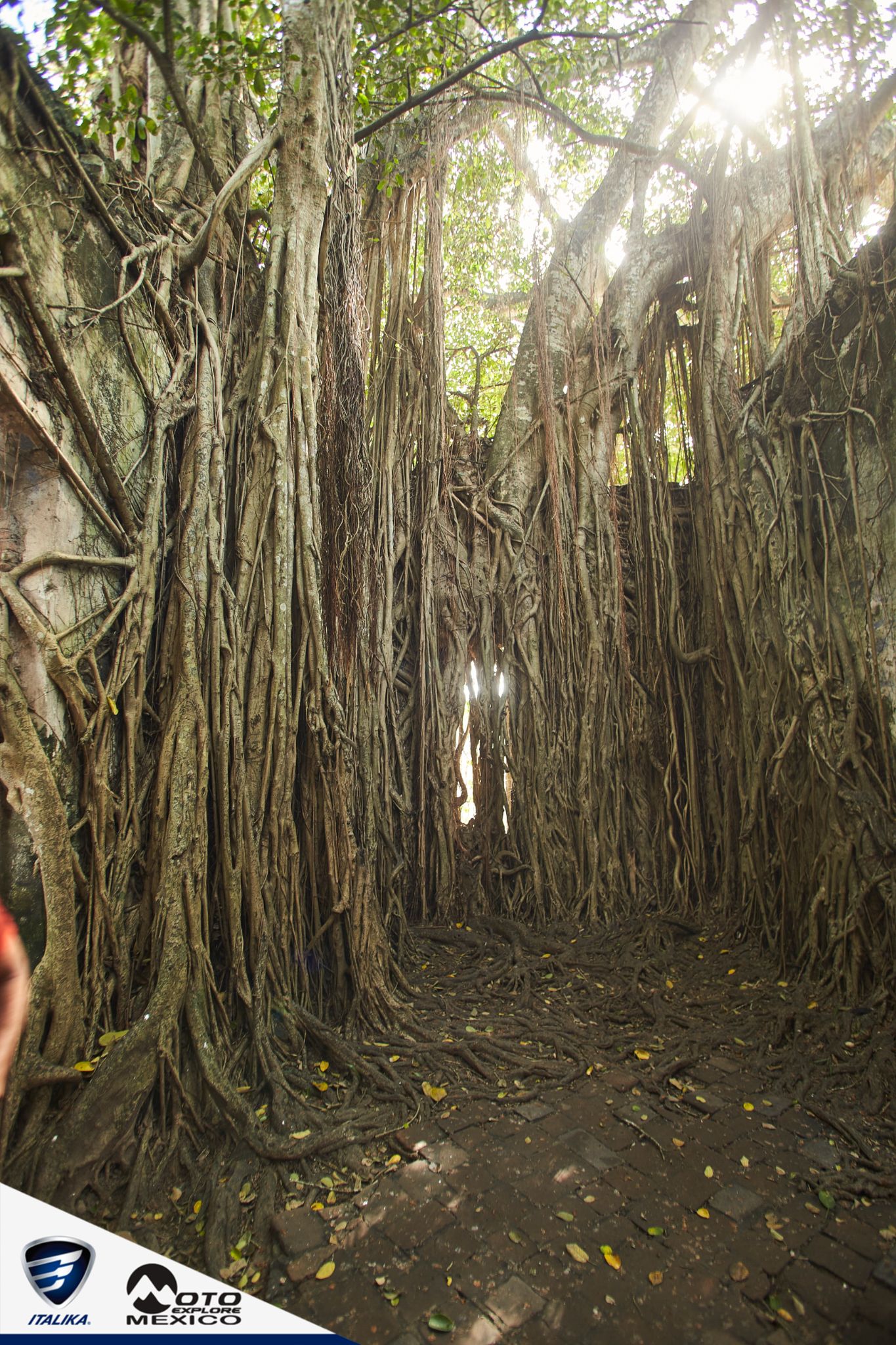 ITALIKA CHACHALACAS D1 272